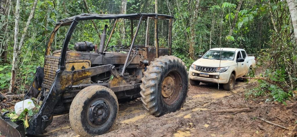 Nova Maringá – operação Erisma: Polícia Civil desmantela quadrilha envolvida em extração ilegal de madeira