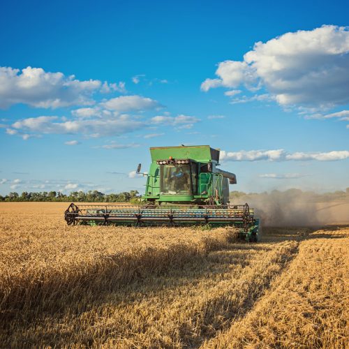 O avanço da colheita da soja em Mato Grosso ocorre com uma produtividade abaixo do esperado, conforme informado pelo instituto.