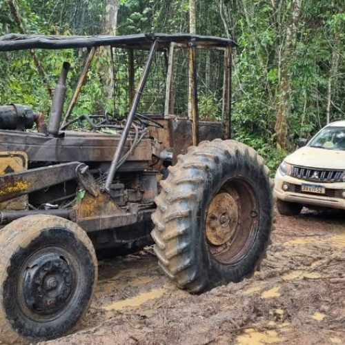 Nova Maringá – operação Erisma: Polícia Civil desmantela quadrilha envolvida em extração ilegal de madeira